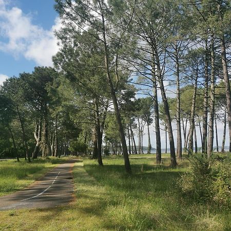 Appartements Au Coeur Du Golf, Proche Du Lac Et Velodyssee Biscarrosse Exteriér fotografie