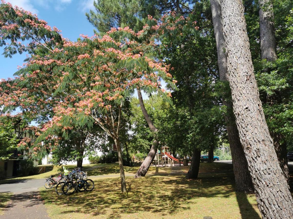 Appartements Au Coeur Du Golf, Proche Du Lac Et Velodyssee Biscarrosse Exteriér fotografie